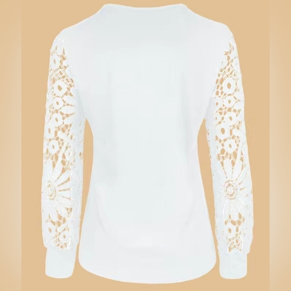 Lace Contast Pleated Front Top - Picture 2 of 3